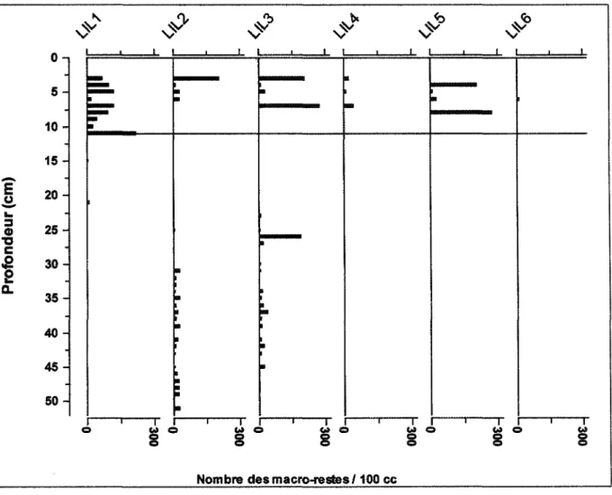 Figure 6. Diagramme de l'abondance des macro-restes &amp; Abies balsamea (graines, cônes et rameaux) en fonction de la profondeur sur les six sites analysés dans la tourbière du lac des îlets, Saguenay.