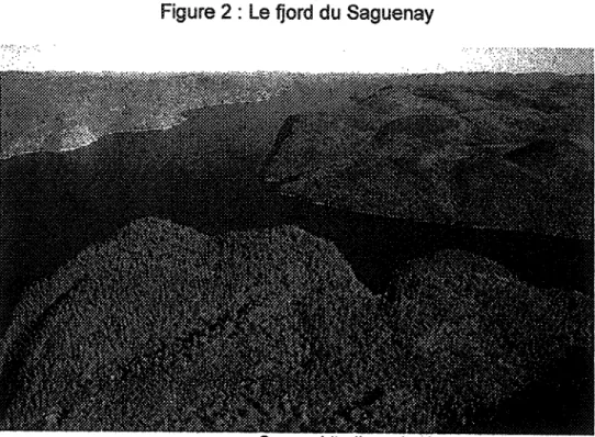 Figure 2 : Le fjord du Saguenay