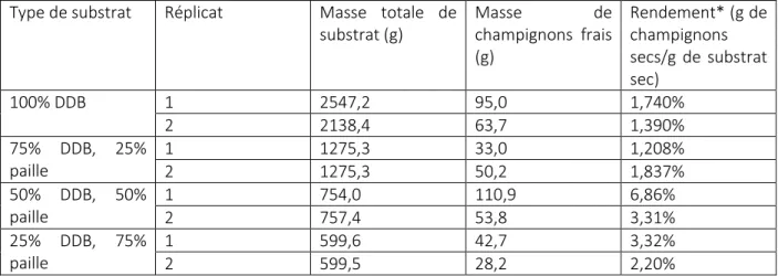Tableau 1. Résultats de l’expérience de culture de P. ostreatus sur substrat de DDB  Type de substrat  Réplicat  Masse  totale  de 