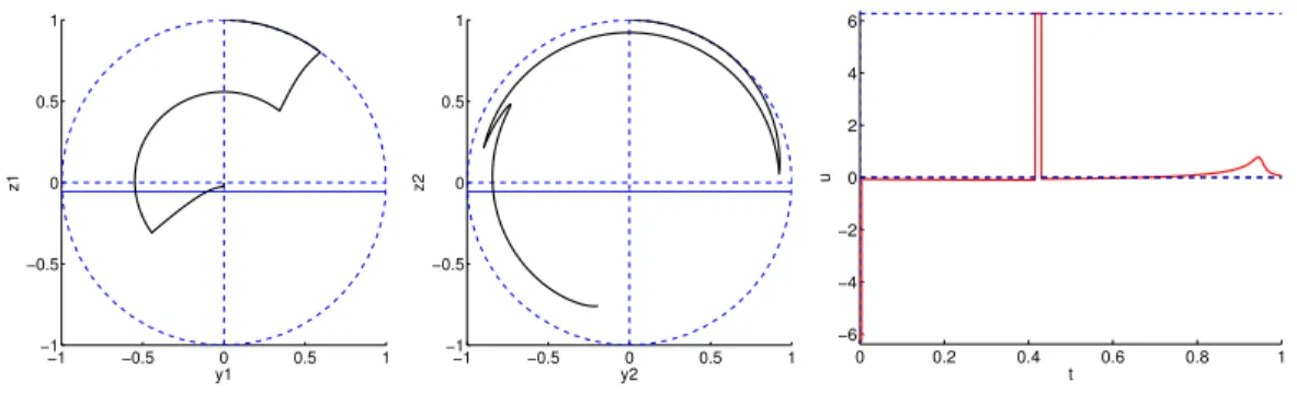 Figure 3.22 – Cas du fluide. Solution no. 1 pour λ = 1.0 (t f = 1.5 × min t f ). Le contraste est de 0.783