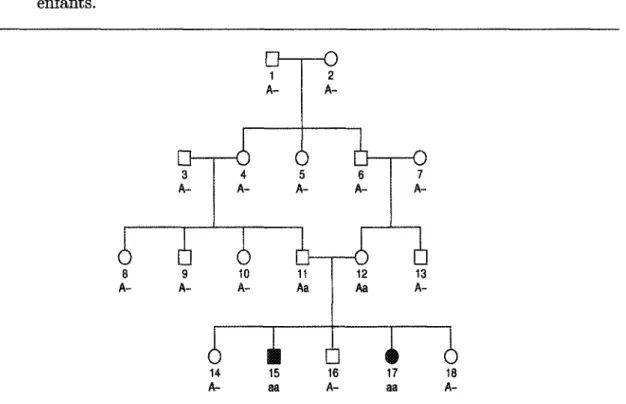 FIGURE 2.3 — Reconstitution deductive des génotypes des individus à partir des génotypes des individus 15 et 17.