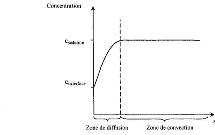 Figure 2.2 : Concentration de l'espèce électroactive à l'électrode, en régime permanent