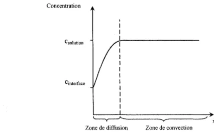 Figure 2.2 : Concentration de l'espèce électroactive à l'électrode, en régime permanent