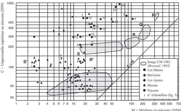 Fig. 3 : Les processus d’alluvionnement dans les paléochenaux, selon l’image CM.