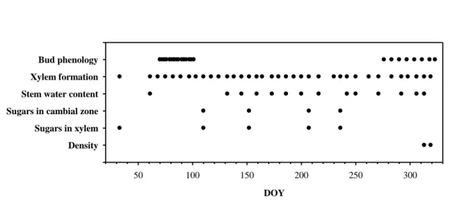FIGURE 1 1  DOY50100150 200 250 300DensitySugars in xylemSugars in cambial zoneStem water contentXylem formationBud phenology