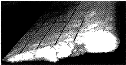 Figure 4 : Formation de givre sur un modèle réduit de pale d'hélicoptère [21]