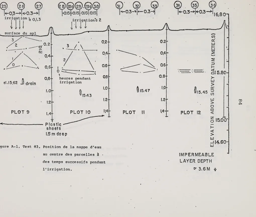 Figure  ~-1.  Test  #3.  Position  de  la  nappe  d'eau  au  centre  des  parcelles  ~  ·  des  temps  successifs  pendant 