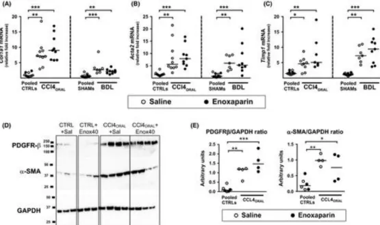Figure 4 Effect of enoxaparin on the expression of fibrosis ‐ related genes and proteins