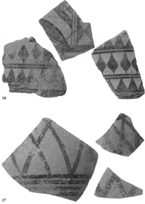 Fig. 16.  —  Fragments de cols d'amphores Bichrome (cliché eFA, Ph. Collet).