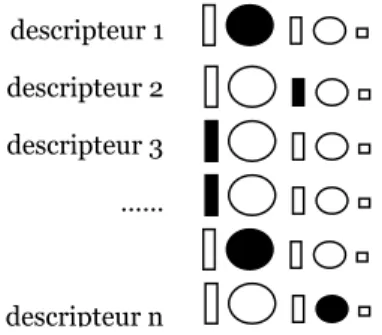 Figure N° 4 – Profil sensoriel analogique Niveau 1 