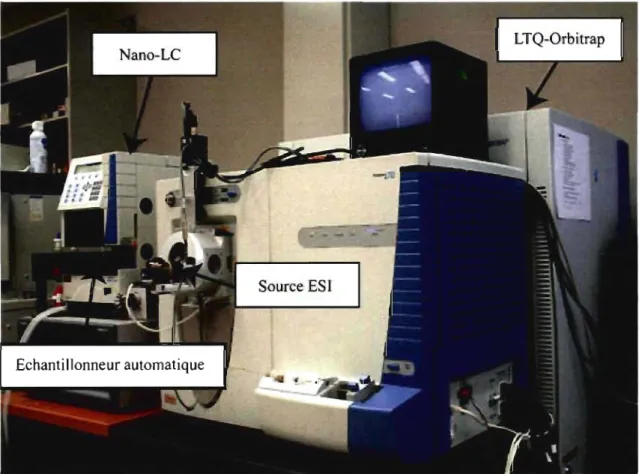 Figure  1.12  :  Spectromètre  de  masse  LTQ-Orbitrap  (Thermo  Electron)  couplé  à  un  système  nano  de  chromatographie  liquide  (Eksigent)  avec  un  échantillonneur automatique Spark-Holland (Thermo Electron)