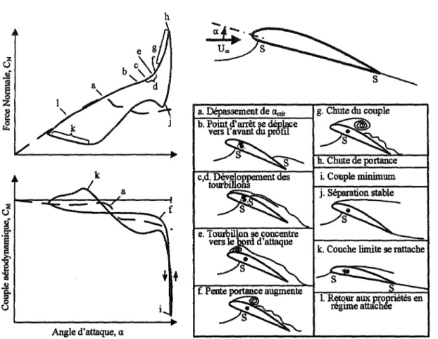 FIGURE 1.3: Les événements durant la séparation dynamique de l'écoulement autour d'un profil (adapté de Réf