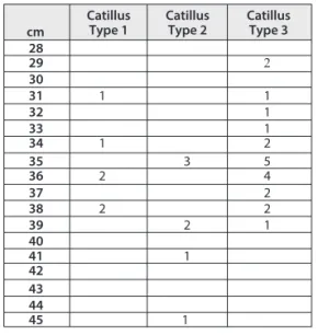 Fig. 9. Diamètre en centimètres   des différents types de catillus.