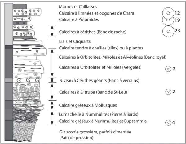 Fig. 6. Répartition quantitative des meules calcaires d’Acy-Romance   en fonction de la position des différents faciès identifiés.