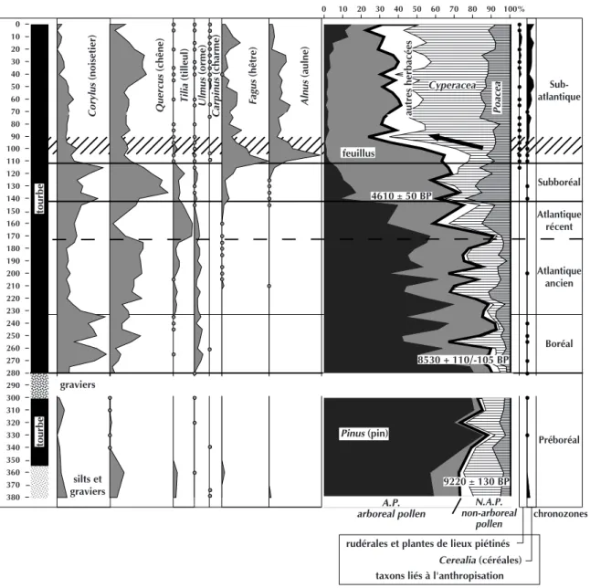 Fig. 4 – Diagramme palynologique simplifié du site de l’Abîme à Molesme (d’après Gauthier et al., 2006)