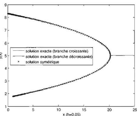 FIG.  5.1.  Comportement  du  schéma symétrique  proche  de  la sin- sin-gularité  pour  l'éq