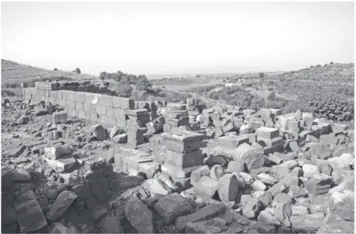 Fig. 4 – le temple romain de beit Jallouk (© Julien Aliquot 2009).