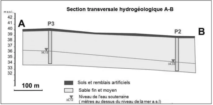 Figure 6 : Section transversale hydrogéologique sur la ligne joignant les piézomètres P2 et P3