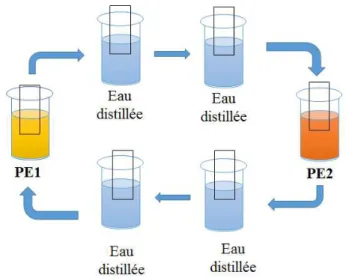 Figure 4 : Description des étapes successives permettant la fonctionnalisation d’une surface  par immersion dans des solutions de PE 1  et PE 2  (technique LBL)