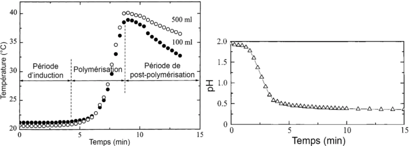 Figure 1-10 : À gauche : Profil de température typique d'une réaction de polymérisation de l'aniline