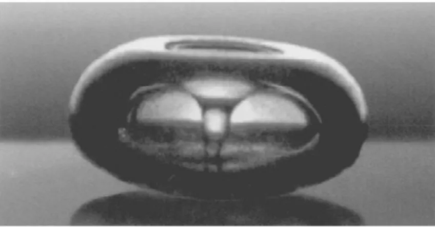 Figure 6.9 : Implosion d’une bulle de cavitation à 10 Hz, à proximité d’une surface rigide [137] 