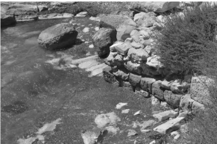 Figure 4. mur Pa archaïque ; parement est, avec le prolongement de sa fondation en jetée sur petites boutisses