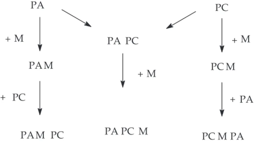 Figure 26: Différents voies de synthèse des assemblages polyélectrolytes - ions métalliques 