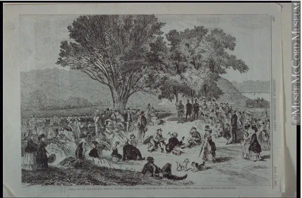 Illustration 13 : Journée champêtre de la Natural History Society of Montreal, à Montarville, le samedi du  mois courant, 1871, M985.230.5025 