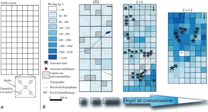 Figure 12 - Caractérisation des sols (Camizuli et al., en préparation) ; (a) Protocole d’échantillonnage suivi pour le prélèvement  des sols de surface ; (b) Répartition des concentrations en Pb dans les sols de surface pour les trois secteurs étudiés dans