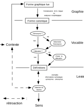 figure 2 : Modèle d'accès lexical avec dictionnaire 