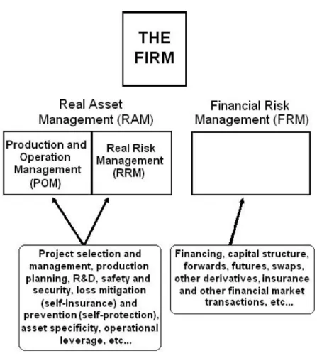 Figure 1: Production and operation management (POM), real risk management (RRM) and financial risk management (FRM) in the firm.