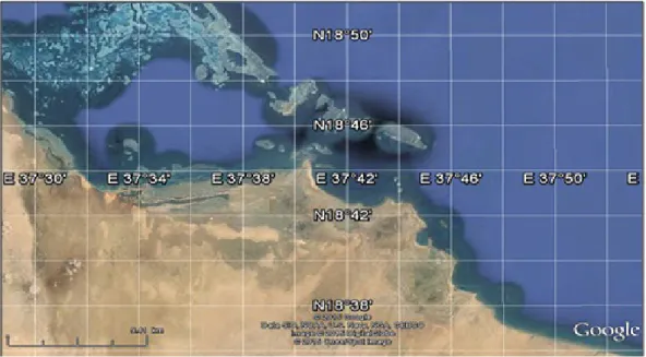 Fig. 4 : le secteur de Trinkitat vu de satellite