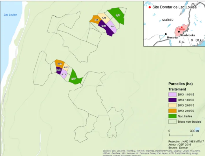 Figure  3.  Plan  expérimental  d’épandage  des  matières  résiduelles  fertilisantes  dans  la  plantation  de  peuplier hybride en Estrie