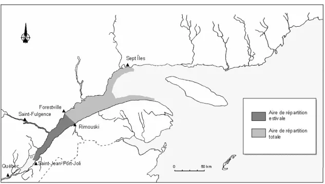 Figure 2. Distribution géographique du béluga (Delphinapterus leucas) de l'estuaire du Saint- Saint-Laurent (33)