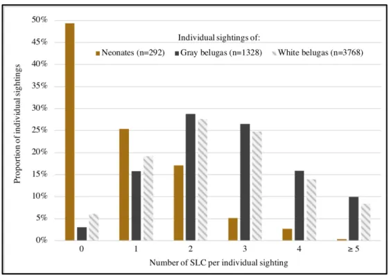Figure 9. Number of skin lesion categories observed during individual sightings of belugas  (Delphinapterus leucas), stratified by age category, between 2003 and 2014 in the St