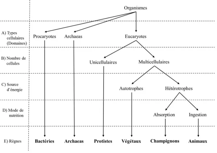 Fig. 1.2 : Classification des organismes vivants en six règnes.  
