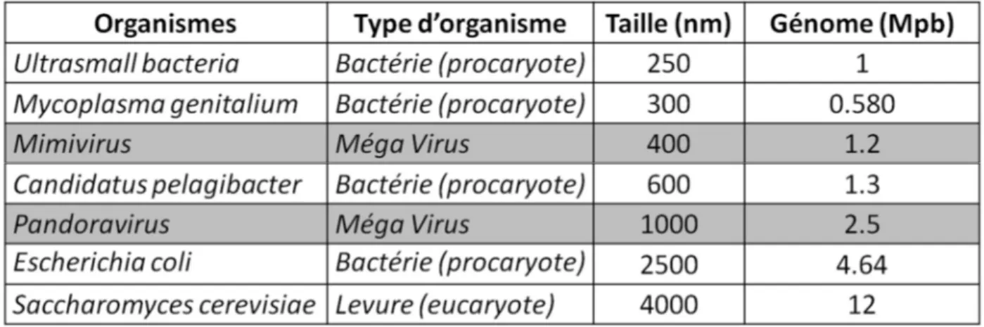 Fig. 1.8 : Organismes à la frontière inférieure du vivant. 