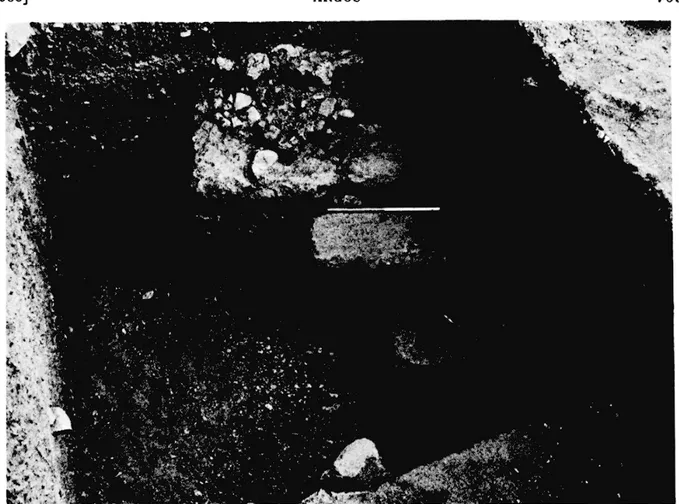 Fig.  11. — Base romaine et restes des fondations du mur Nord  de la Salle Hypostyle (AQ 73-74 - vers le Nord)