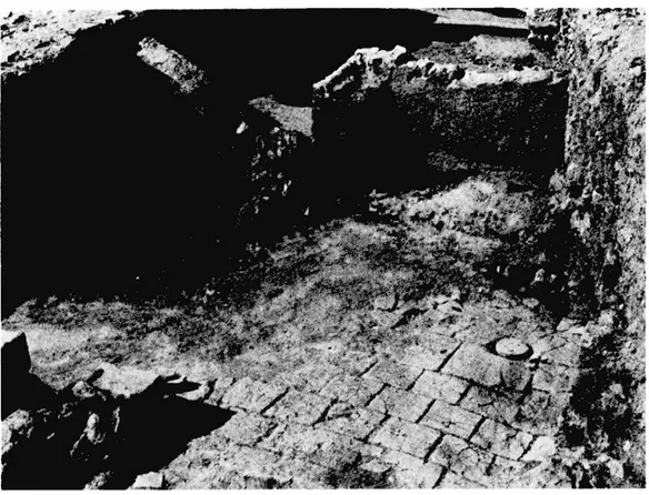 Fig.  18.  — Pièce  dallée,  citerne et  maçonnerie  effondrée au  Nord  de  la  rampe