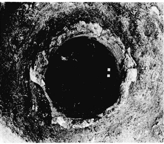 Fig.  2. — Restes d'un  cratère  funéraire  Fichés  dans  le  sol  du  foyer. 