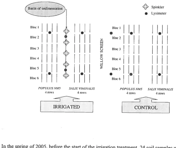 Figure 1.1 The experimental design of the 400m2 plantation downstream from the fish farm at Chartierville.