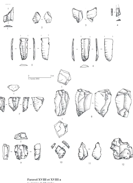 Figure 6. Mobilier lithique (sélection de pièces) recueilli en prospection pédestre sur les sites de Faravel XVIII-XVIIIa-F088,  commune de Freissinières, alt