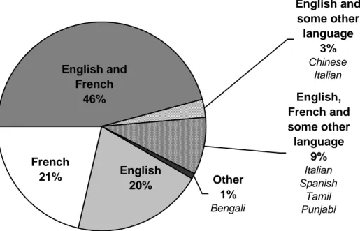 Figure 8. Languages spoken at work by father 