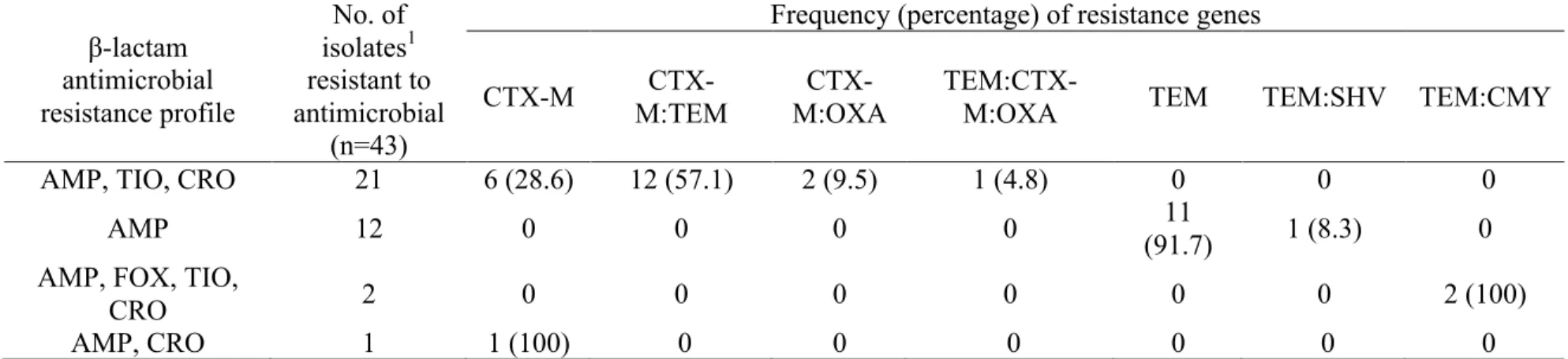 Table 3 : Frequency of beta-lactamase genotypes among beta-lactam antimicrobial resistant E
