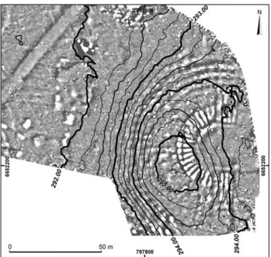 Fig. 8 – Altimétrie des terrains du théâtre (équidistance des courbes :  0,25 m) superposée à la carte du gradient vertical du CMT (de - 5 nT/m  en noir à + 8 nT/m en blanc) (données : Geocarta, DAO : G. Bossuet  et C. Laplaige, Chrono-environnement).