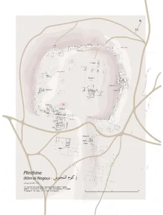 Fig. 2. Plan du kôm de Plinthine en fin de campagne 2019.