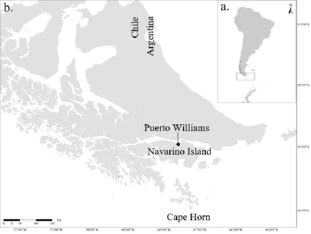 Figure 1. a. South America and Antarctica with focus on study site at the southern tip of  Chile; b