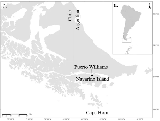 Figure 3. a. South America and Antarctica with focus on study site at the southern tip of  Chile; b