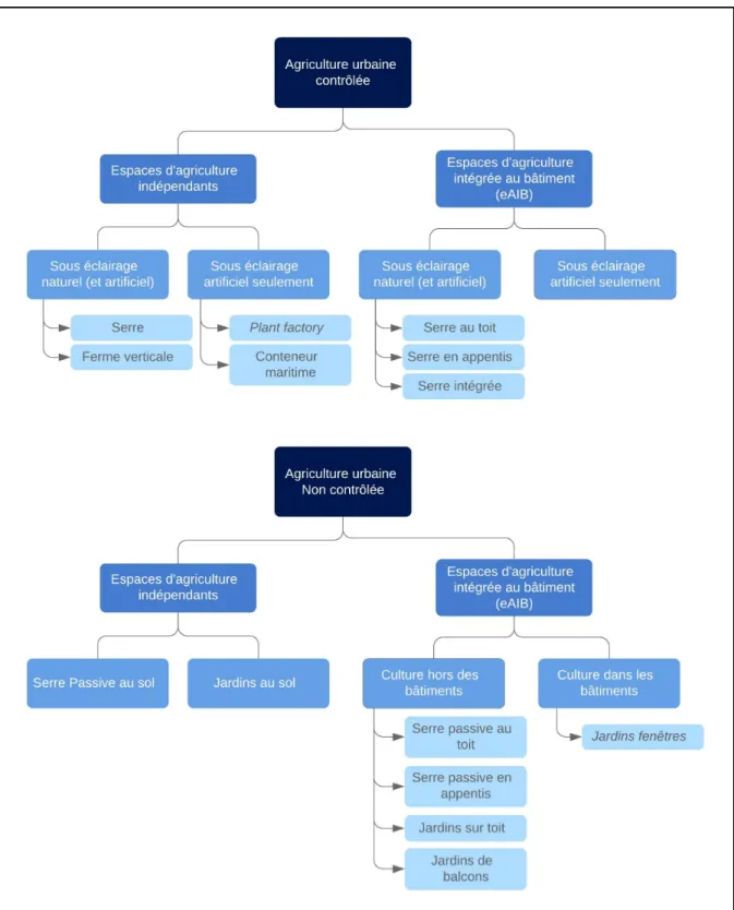 Figure 1.1: Nomenclature agriculture urbaine adaptée de Talbot (2019) 