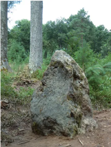 Fig. 2 : Ouzouer-sur-Loire (Loiret) la Pierre du Débard : vue de la  fosse d’implantation décapée avant le sondage (Marc Laroche 